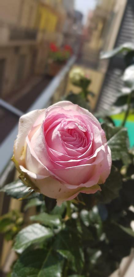 Cupersanum B&B 콘베르사노 외부 사진
